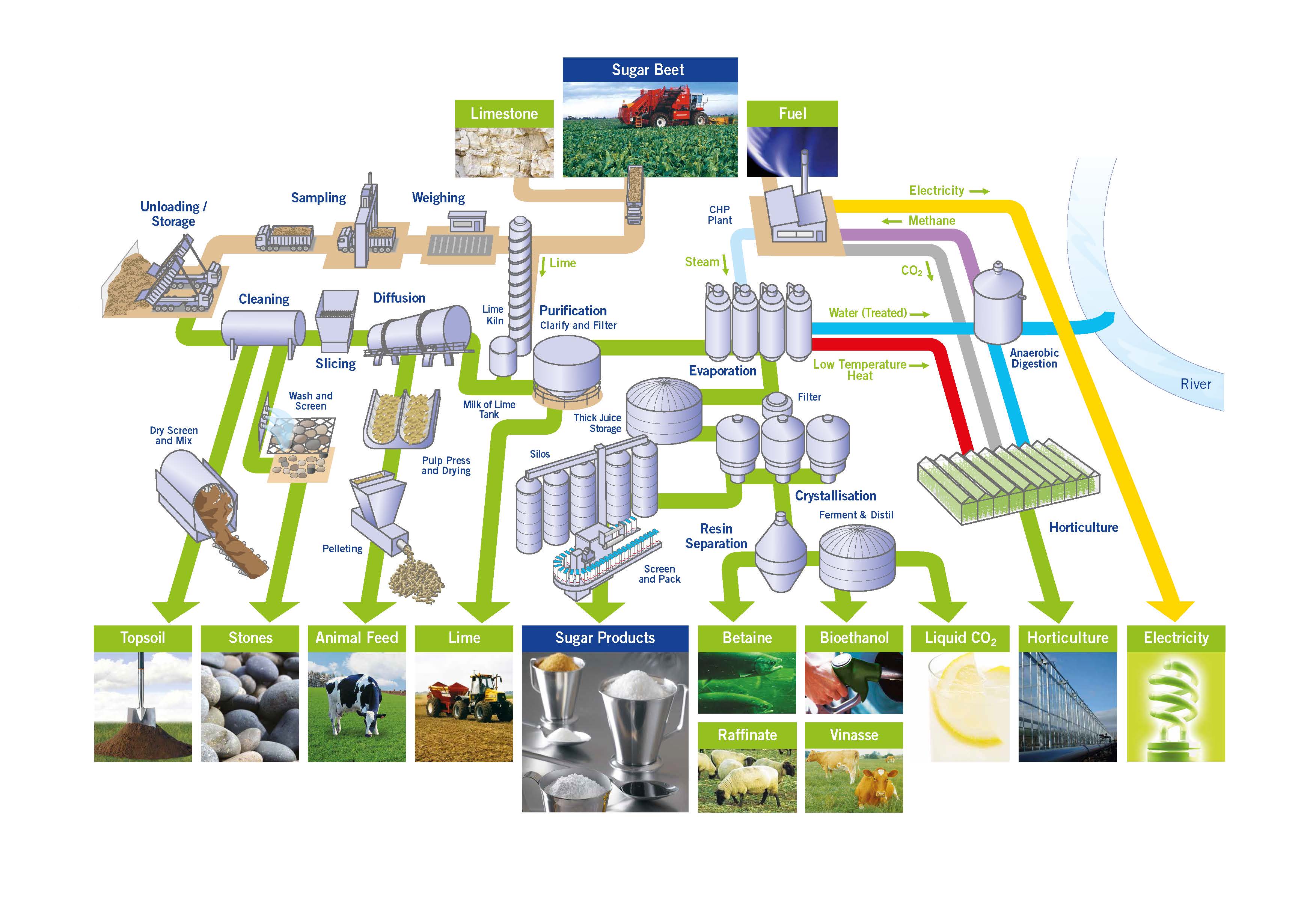 Full Process Flow